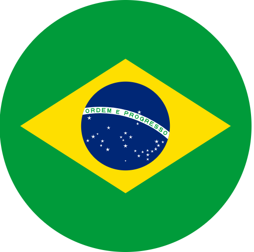 Portuguese interpreter