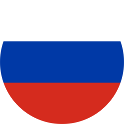 Russian interpreter